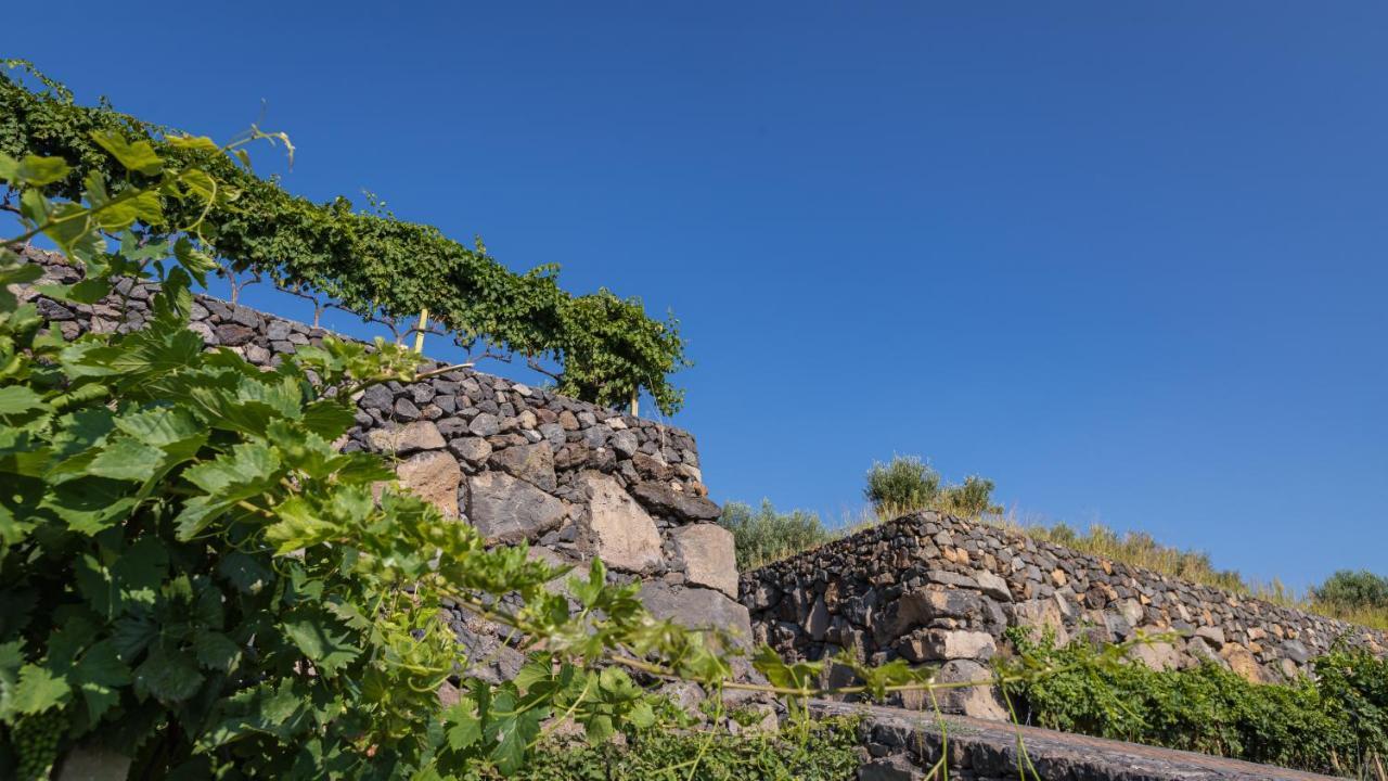 La Gelsomina - Etna Villa Presa Exterior photo