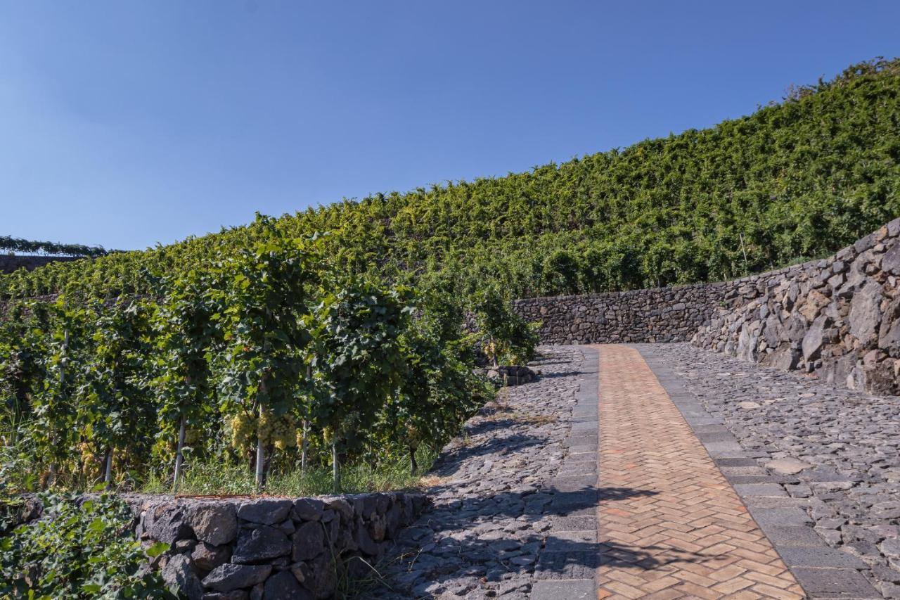 La Gelsomina - Etna Villa Presa Exterior photo